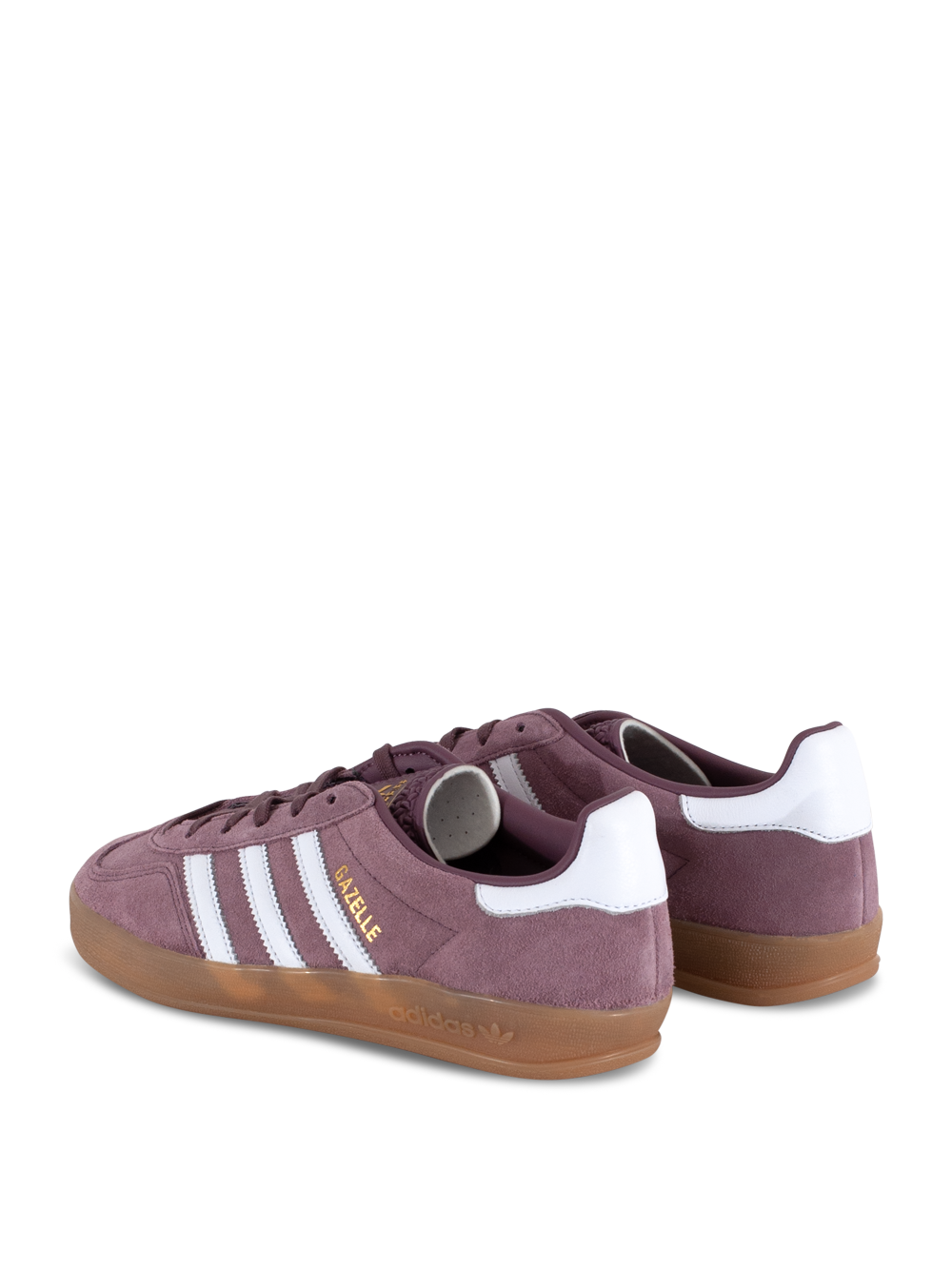 Gazelle Indoor