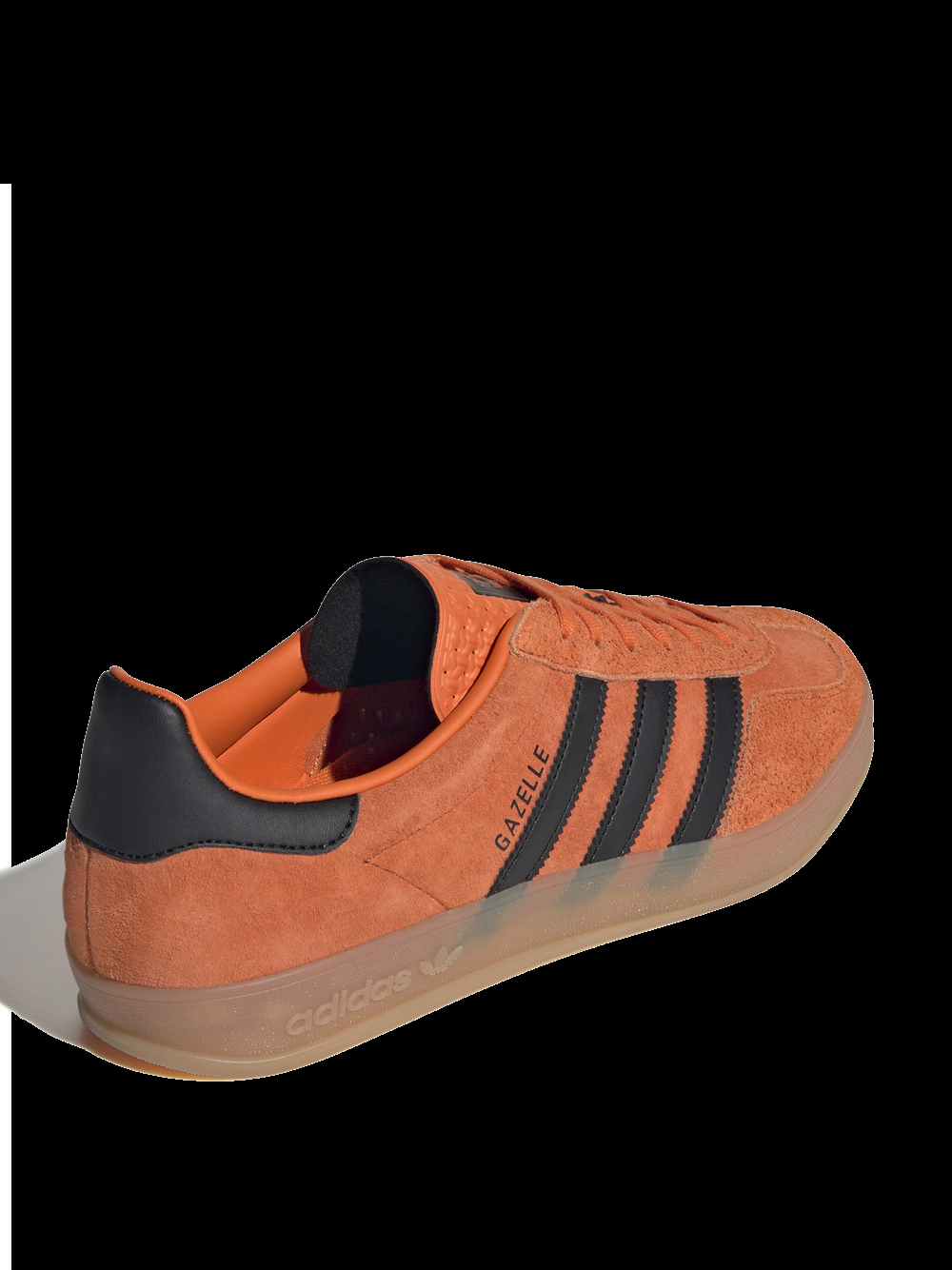 Gazelle Indoor