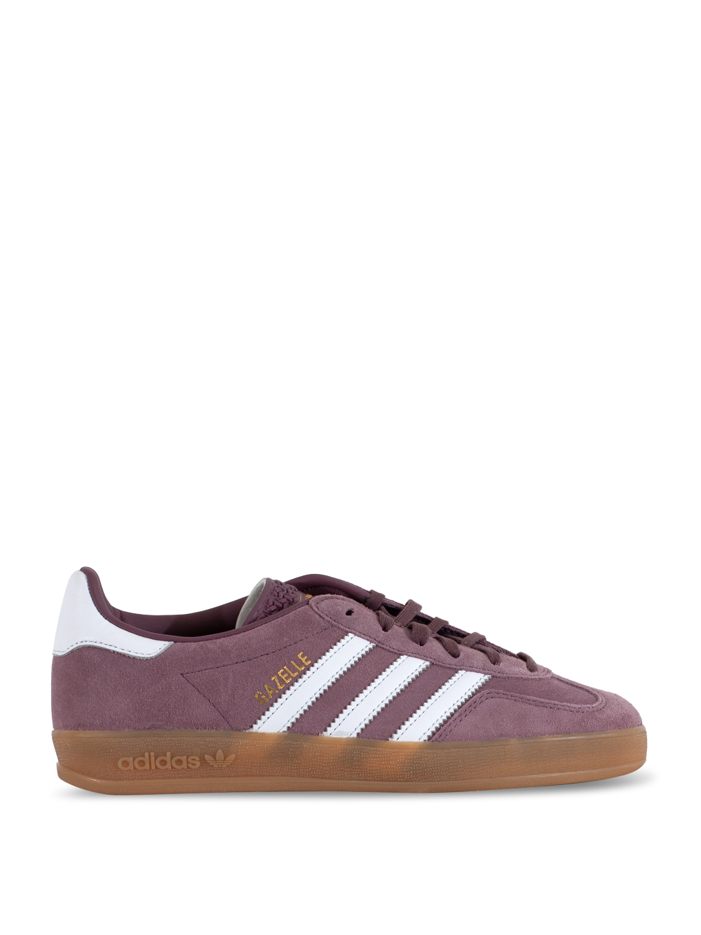 Gazelle Indoor