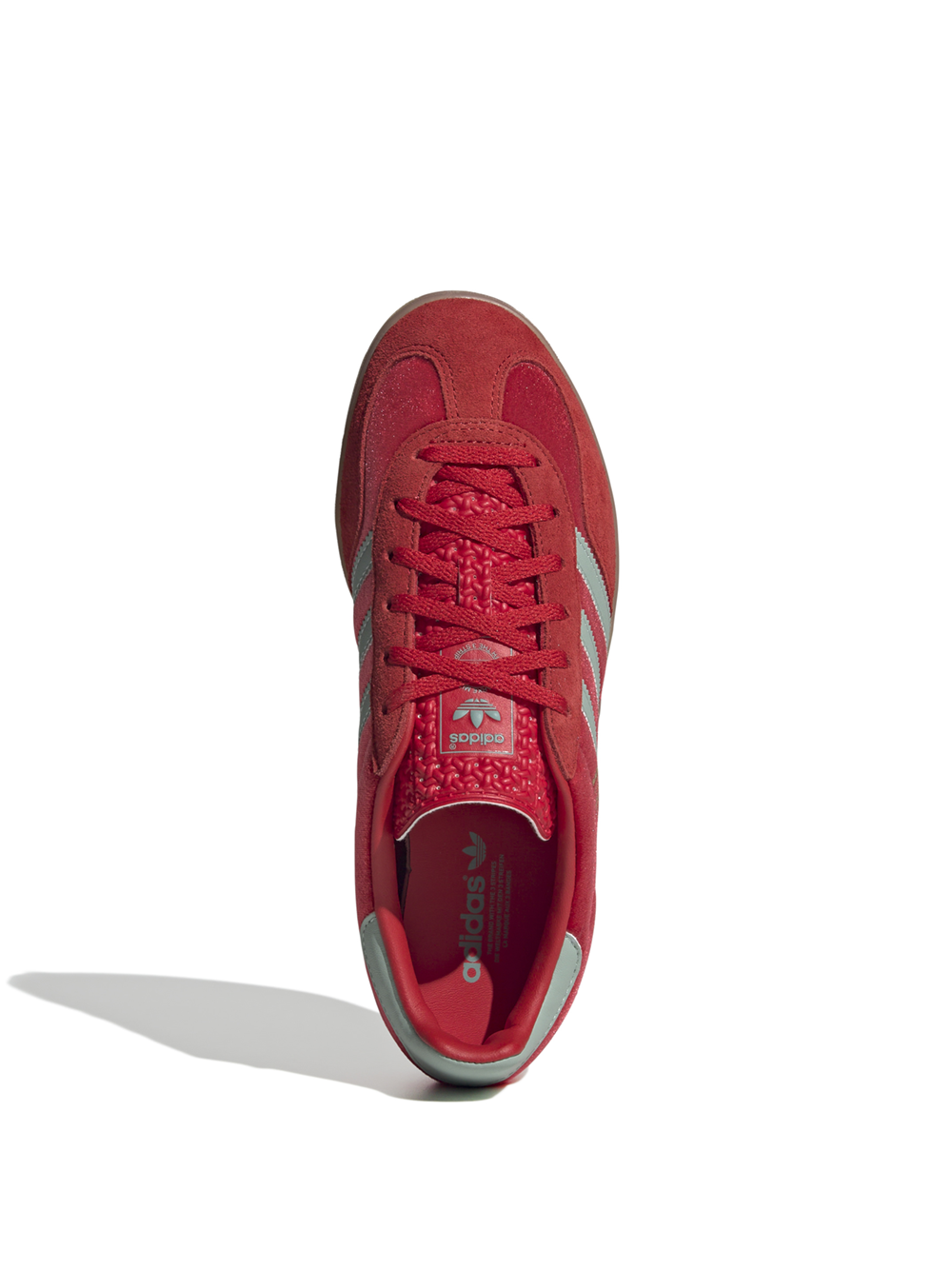 Gazelle Indoor